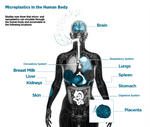 What microplastics do to your body