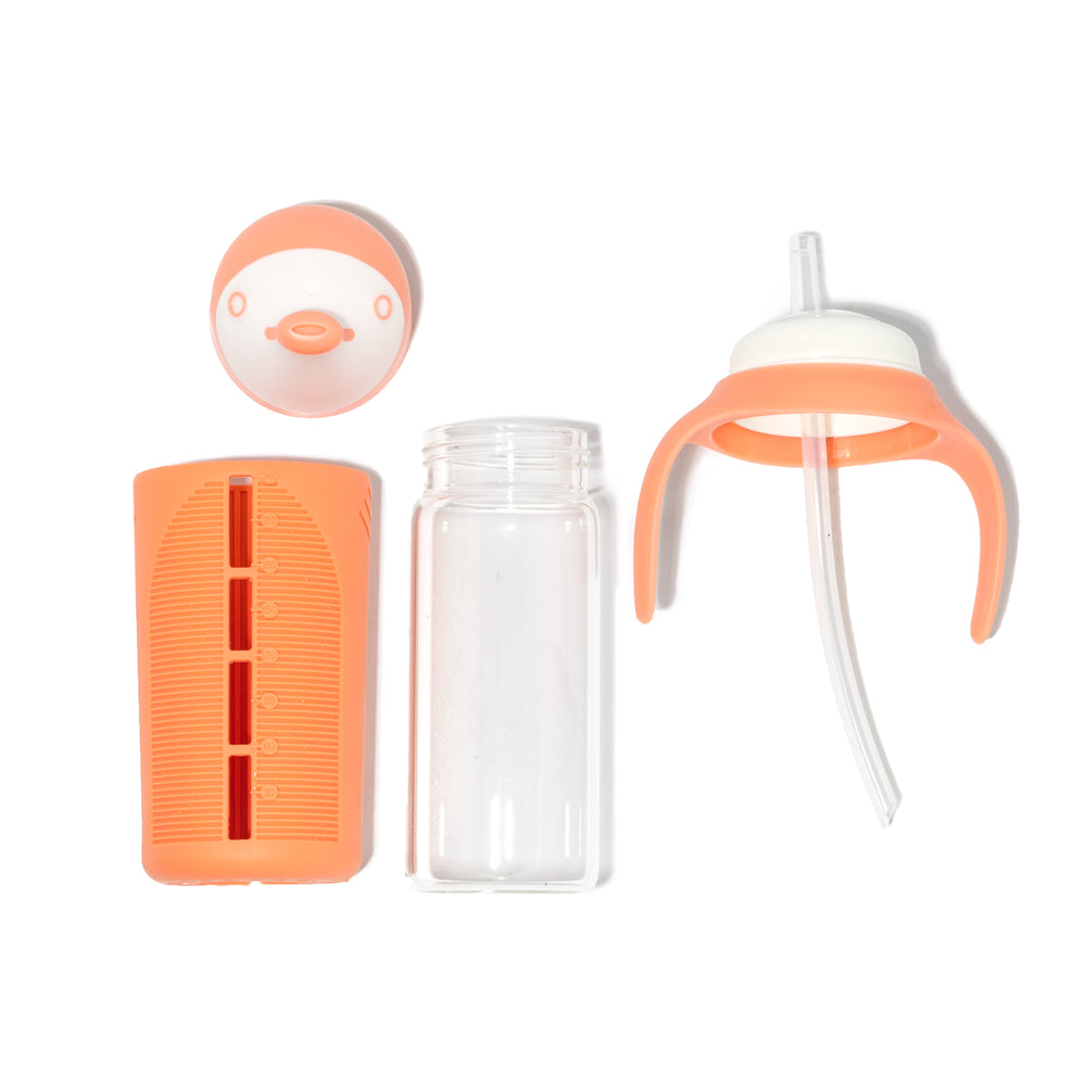 Replacement Spouts + Straws for Straw Bottles (2 pack)
